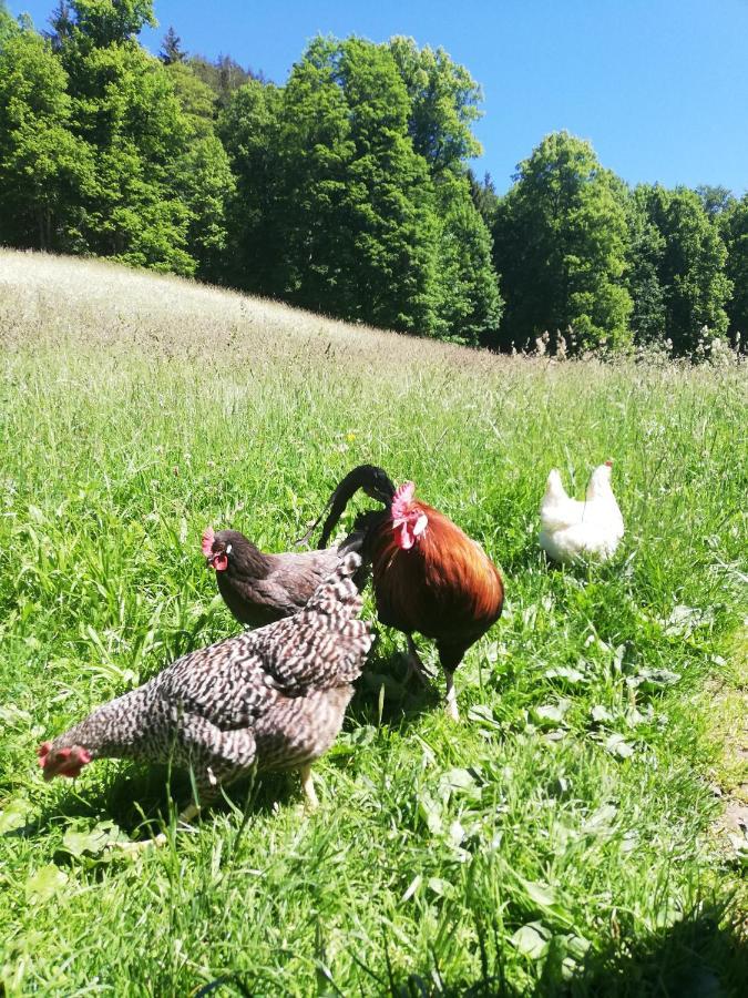 Lejlighed Malterlehen-berchtesgaden *